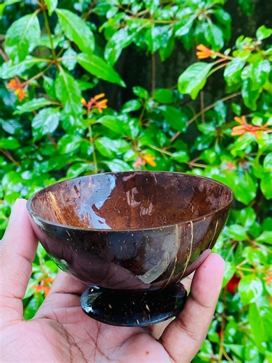 Handmade Coconut Shell Dessert Cup – Eco Friendly Natural Bowl | Sustainable Christmas Gift | Organic Kitchenware - Etsy