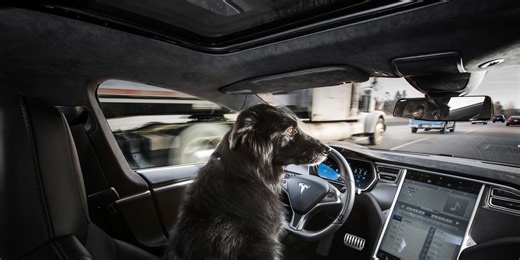 Report: German Police Pull Over Tesla Driver Asleep at the Wheel. Sure.