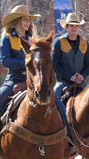 The rodeo team visits campus before The annual #MontanaState University Spring Rodeo #bobcats #msu