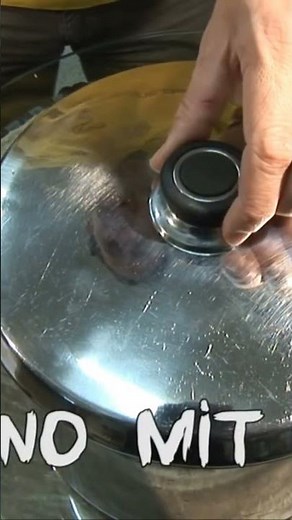 Recessive snake inheritance using the example of albinism | Reptil TV