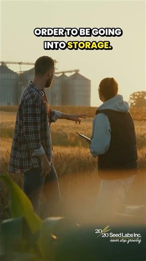 Important Post-Harvest Decisions for Growers & Agronomists #seedtechnology #seed #harvest