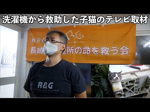 【アニマルレスキュー】日本テレビさんから救助した子猫の取材を受けました