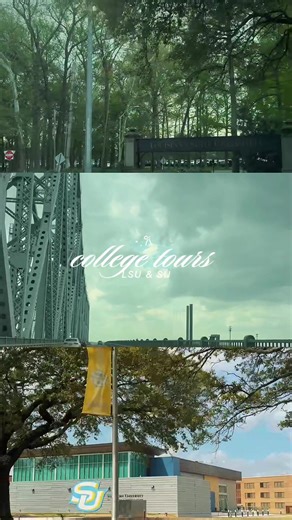 Tiger vs. Jaguar: The Ultimate Showdown