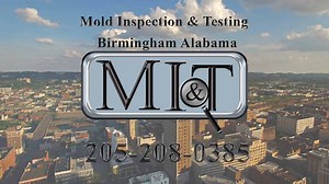 Mold Inspection & Testing Birmingham Alabama