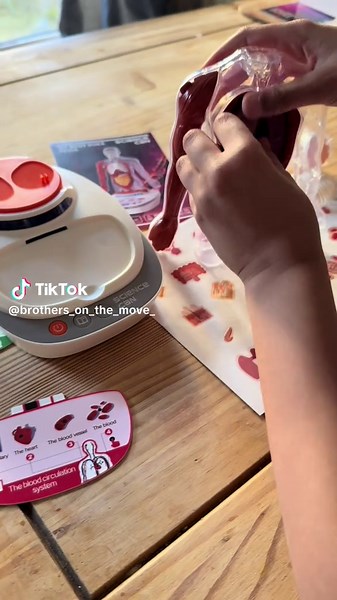 Ad / gifted Thank you so much @sciencecan_official for letting us T ry this amazing and informative stem toy for kids! Such a great fun and educational toy! It has multiple functions so you can switch between learning about the body and then testing yourself! It includes 15 detachable realistic body parts so you can even see inside the body! A great choice for kids and adults alike! Order here - https://amzn.to/4aVlcQF through @amazonuk #topbright #stem #bodypedia #stemeducationforkids #stemacti