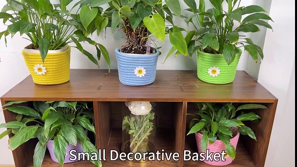 Small Storage Basket for Organizing, Cute Cotton Rope Basket Bins for Gifts Round Mini Woven Basket Organizer 6.7 x 5.3 in Decorative Tiny Storage Baskets for Pet Toys Pencils Plants, 5-Pack