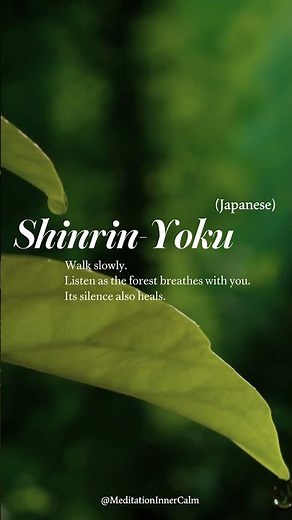 Shinrin-Yoku