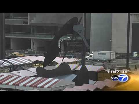 WLS ABC 7 News 11am Closing - 11-19-2008