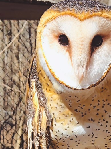 What are your top 3 family friendly activities in LBL? Let us know in the comments 👇 #lbl #landbetweenthelakes #familyfun