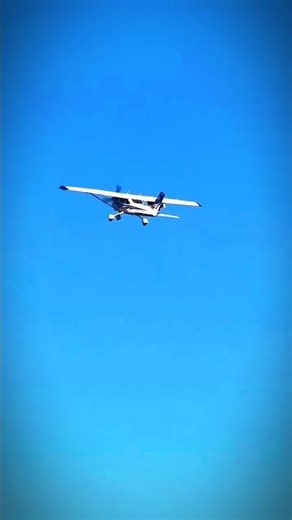 Mini Skydiver: Mission Possible 😲#RCPlane