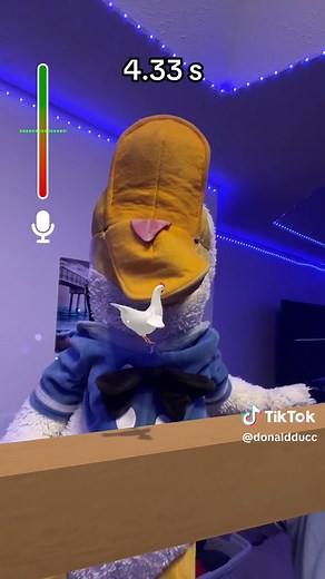 Donald Ducc TikTok Highlights and Fun Moments