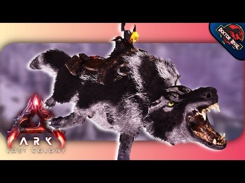 HUSKYWOLF Spotlight || Ark Survival Ascended