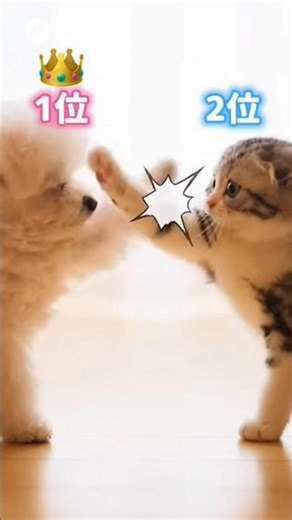 【AIが考えた】ペットの種類ランキング【Pet type ranking】