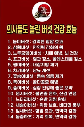 시니어수첩ㅣ의사들도 놀란 버섯 건강 효능ㅣ장수하는 사람들의 버섯 #버섯효능