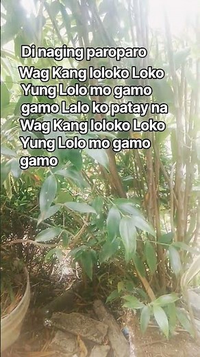 song Lola ko patay n