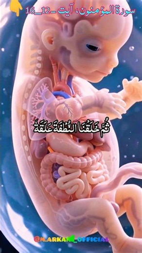 سورة المؤمنون | الآيات 12-16 | تلاوة خاشعة بصوت الشيخ ياسر الدوسري 🤍