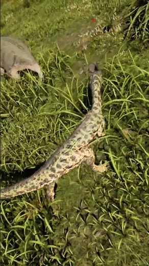 The isle Evrima HOD Diablo Cheat