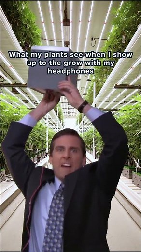 Giving the flower the best possible grow experience 👌