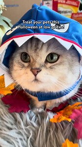 4.7K views · 45 reactions | PSST! Get $20 off your next online Pets...