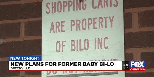 Vacant Baby Bi-Lo approved for retail transformation