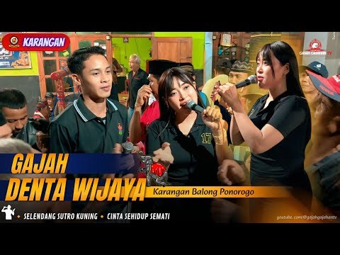 GAJAH DENTA WIJAYA KARANGAN BERGOYANG🔸 Selendang Sutro Kuning_Cinta Sehidup Semati by Ayu Ginuk