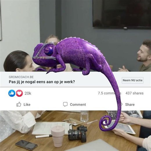 Cameleon Aanpassen op het werk