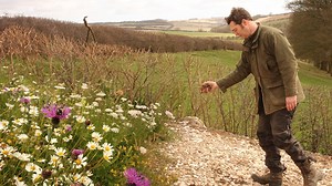 I built them a home and they came🦉🌻🦅💦🐇 Watch the story as I create the perfect habitat for wildlife at my Yorkshire gallery and see what species you can spot? (nb: look out for a few surprise visitors!) | Robert E Fuller