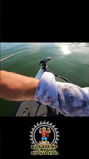 This is how to fish a flutter spoon at a single bass #bassfishing