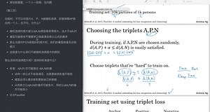 CNN: 4.4 triplet loss part3