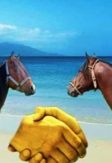 Ultimate Daily Horse Memes for Laughter