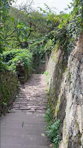 A Walk Along Heidelberg’s Philosophenweg #germany #heidelberg #hike #walkthrough