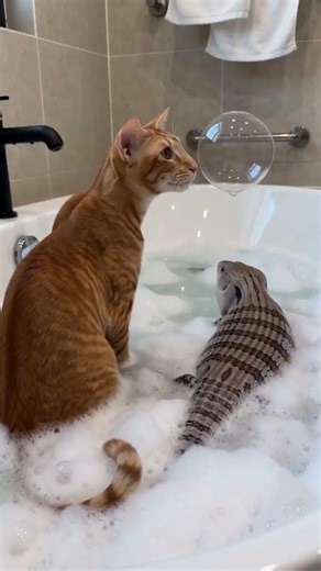 AI Bathtub Bubble Storm: A Visual Deluge of Innovation