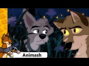 Animash - ♪ F I R E F L I E S ♫ [True 1080p]