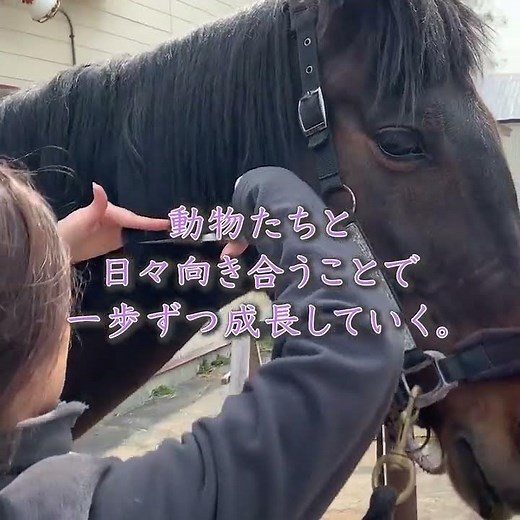 リラの花咲くけものみち特設サイト