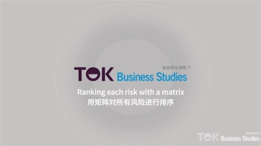 Ranking each risk with a matrix 用矩阵对所有风险进行排序