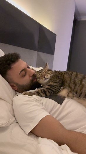 Sarper Duman on Instagram: "Pianist cat when I lay down for 5 minutes 😀❤️🐈"
