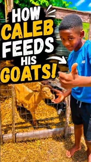 What Do Goats Eat? Caleb Shows You! 🐐🌿