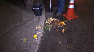 With more rain ahead, we caught crews removing leaves near storm drains tonight. At 11, Meteorologist Claire Anderson is tracking more stormy conditions into tomorrow and how it’ll impact your morning commute. | KIRO 7 News