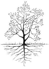 Tree of patriarchy - Alchetron, The Free Social Encyclopedia