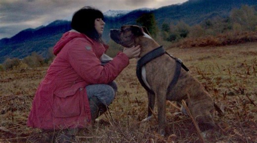 Affaire Pilarski : Christophe Ellul défend son chien Curtis, « jamais » agressif « avant le drame »