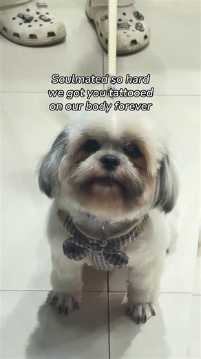 Heartwarming Dog Tattoos That Capture Love