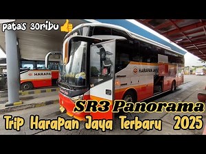 HARAPAN JAYA PATAS TERBARU‼️ Tulungagung-Surabaya naik harapan jaya bus terbaru SR3 Panorama.