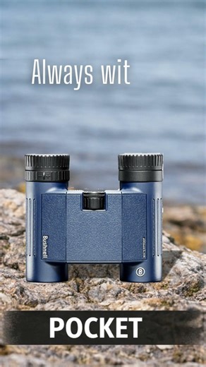 How to Choose the Right Binoculars for Birdwatching?