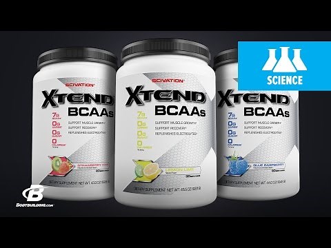 SciVation Xtend BCAAs | Science-Based Overview