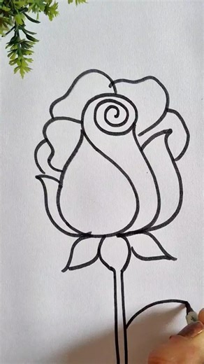 Rose drawing #shorts #youtubeshorts #drawing #art #viral #trendingshorts