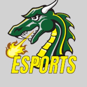 TiffinUniversityEsports - Twitch
