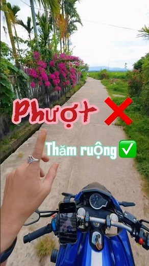 Ngắm cánh đồng lúa cùng mình nha 🌾| Người Đà Nẵng