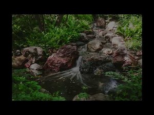 Garden Waterfall White Noise - 12 Hours Black Screen, No Ads