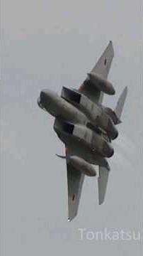 これが20万馬力の航空自衛隊主力戦闘機！F-15が自分に向かって猛突進！フルアフターバーナー離陸、直後の超低空で急旋回！