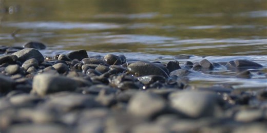 Annual Riverbank Cleanup project set to return to Broome County